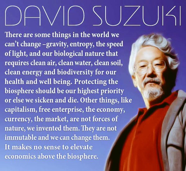 Shadz66Shadz6t6's tweet photo. On #WorldElephantDay, maybe we can consider the #Capitalist #Economics Model &amp; value what is priceless! #JillNotHill https://t.co/fj05bXjD1T