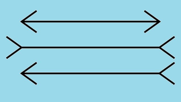 escapeIllusion_'s tweet photo. Which of the three lines is longest? https://t.co/lhxH4Pt4zi
