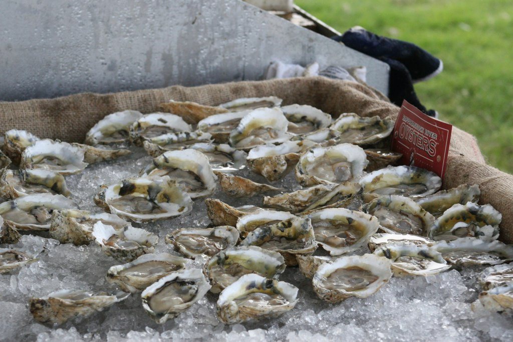 Jacob's Ladder tweet media