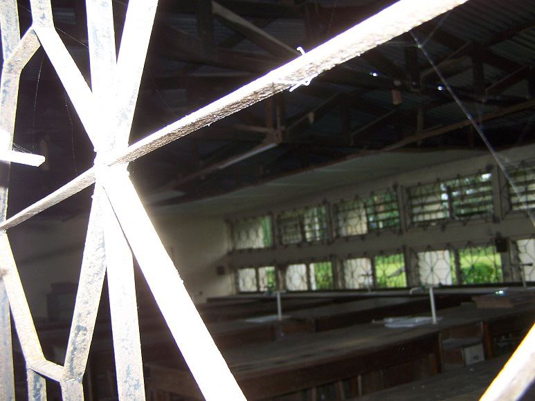 ibakachi alumni tweet media
