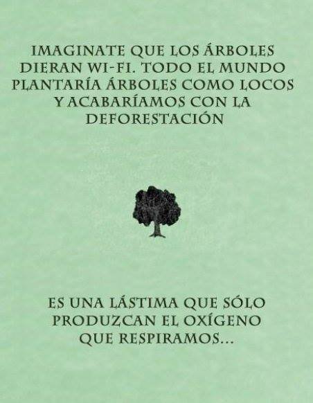 Elizabeth 💛💛💛 tweet media