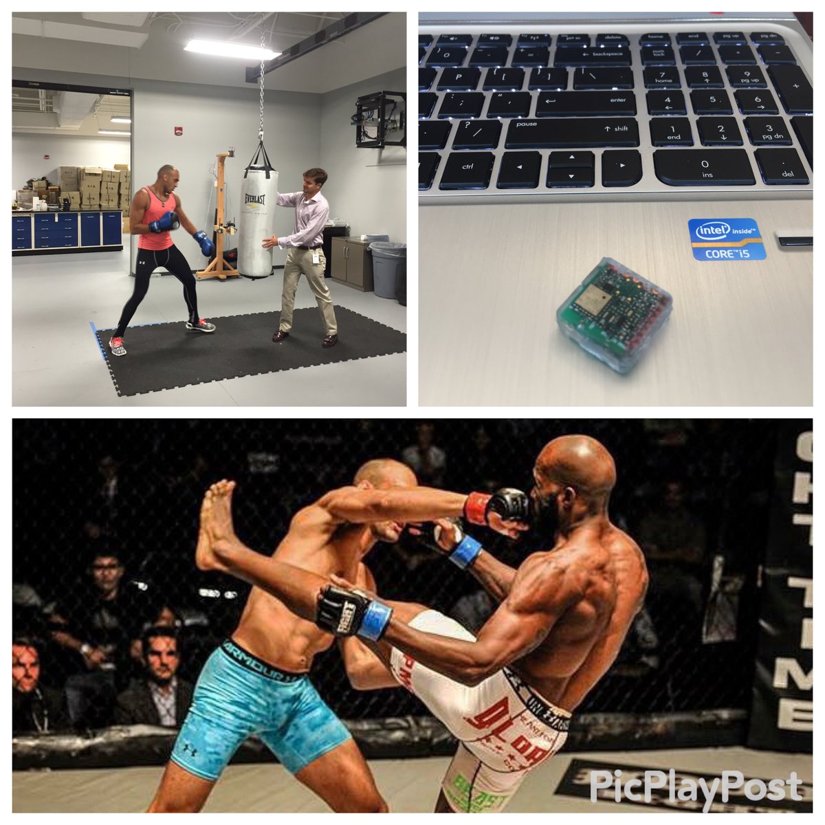 Striketec's tweet image. We dont hope for a champ, we breed them! #MyStriketec #SensorUp ow.ly/C00G303aPOx