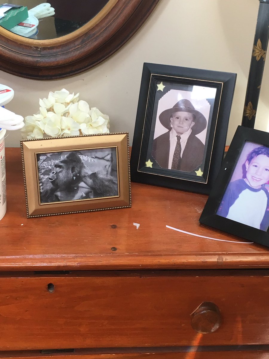 mjwalton01's tweet photo. Slowly replacing all the pictures in our house with photos of Harambe #dicksoutforharambe https://t.co/eCSygBgzEV