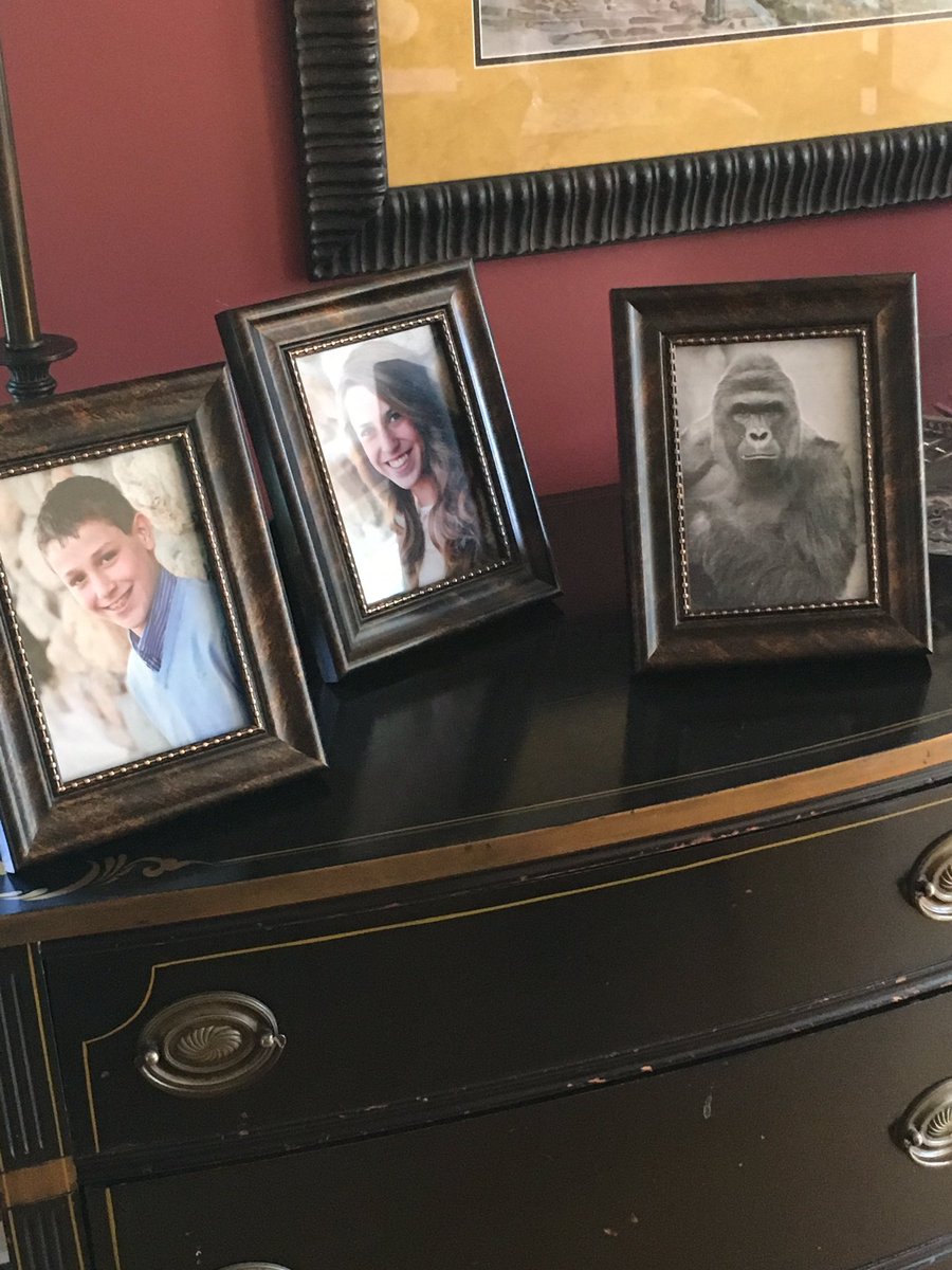 mjwalton01's tweet photo. Slowly replacing all the pictures in our house with photos of Harambe #dicksoutforharambe https://t.co/eCSygBgzEV