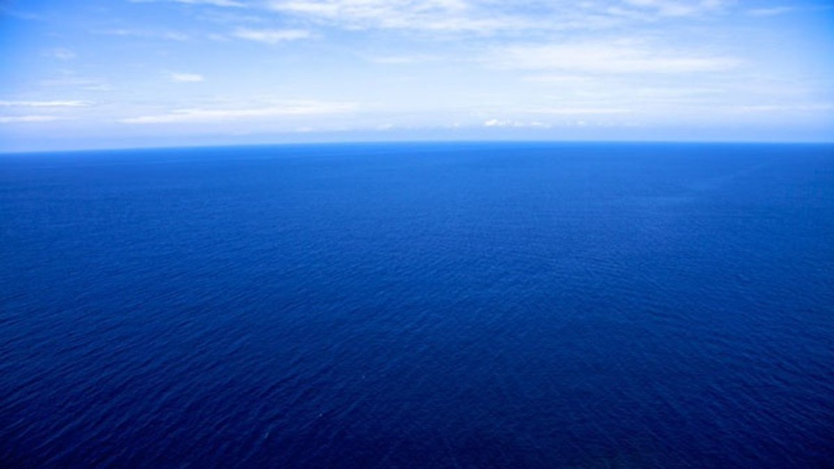 news6wkmg's tweet image. Possible shipwrecks dating back centuries found off Cape Canaveral dlvr.it/M1ZG8L