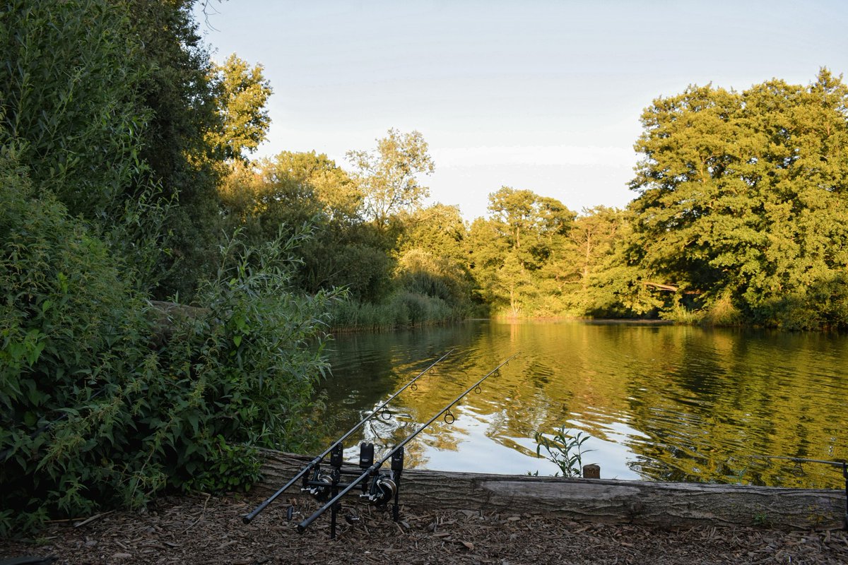 Come on the Chunks 🎣