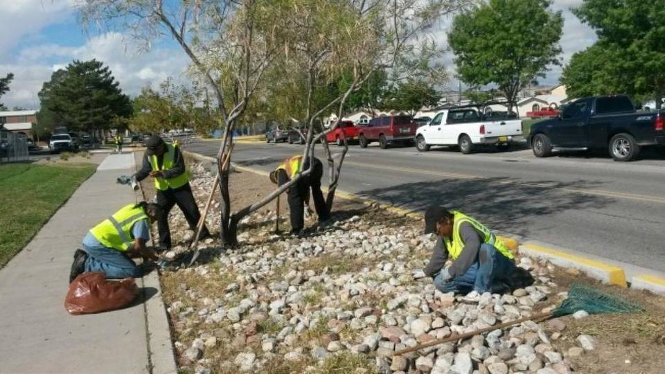 MiamiHerald's tweet photo. Instead of asking the homeless to look for work, this city brings the work to them https://t.co/uF9R8ndiLy https://t.co/oIttOniiep