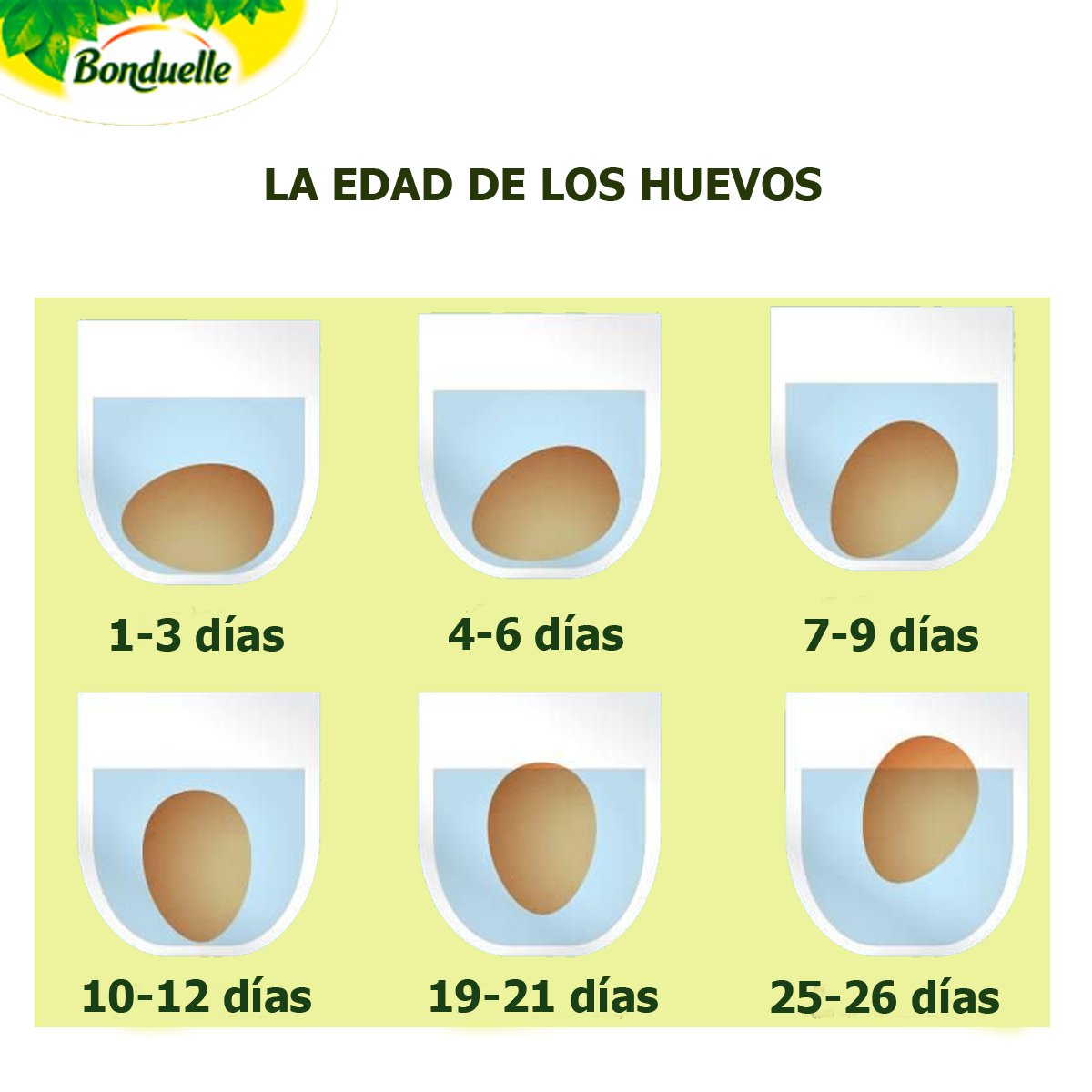Republikanske parti ondsindet Mikroprocessor Bonduelle España on Twitter: "#truco #consejo Para saber si un huevo está  fresco mételo en un vaso de agua; si flota está caducado, sino fresco :)  https://t.co/w4N31Y610E" / Twitter