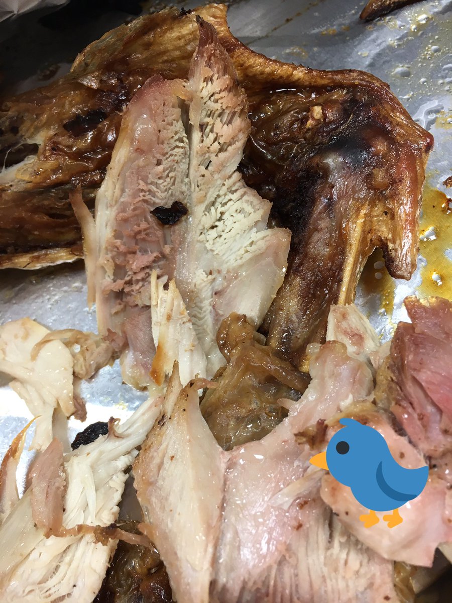 morberg_rulz's tweet photo. Day old turkey is good for babies, right? #sumcmattress https://t.co/iudJP5lOcK