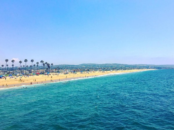 FlyNFishOysters's tweet photo. Wind down the week by the beautiful ocean with some delicious seafood! #flynfish #newportbeach pc: @saoirsegosheain https://t.co/6TV9FErCDW