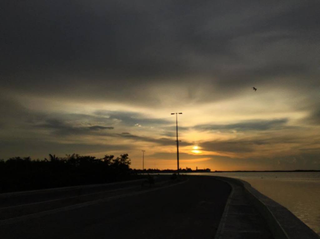 LeohConH's tweet photo. Atardecer en #RioLagartos #Yucatán #FotoConiPhone #Photography #PhotoOfDay #FotoDelDía #Tr… https://t.co/ulc9Rn1Ovx https://t.co/ocILnWDswz