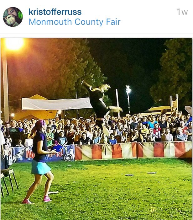 #dogs #rescuedogs #bigair