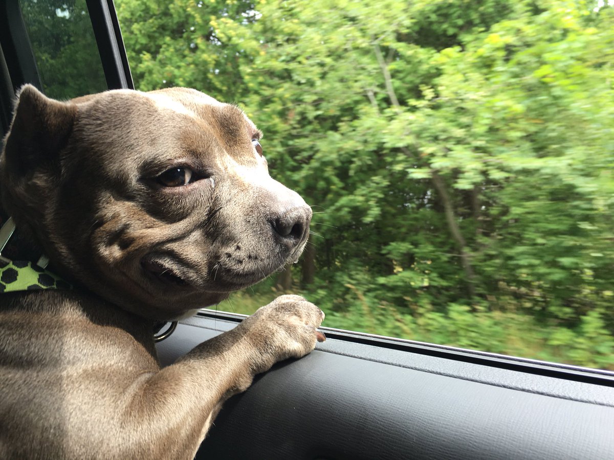 Hazel Devick tweet media