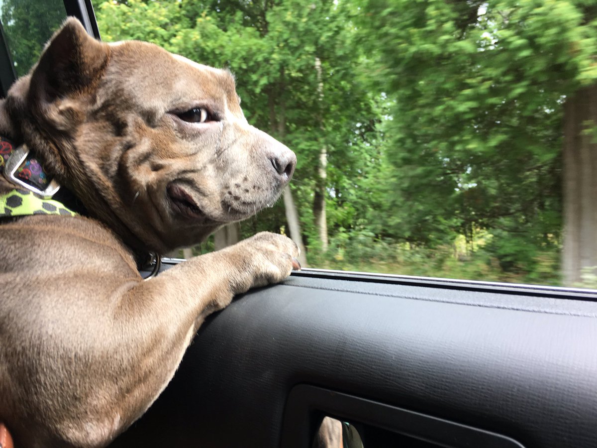 Hazel Devick tweet media