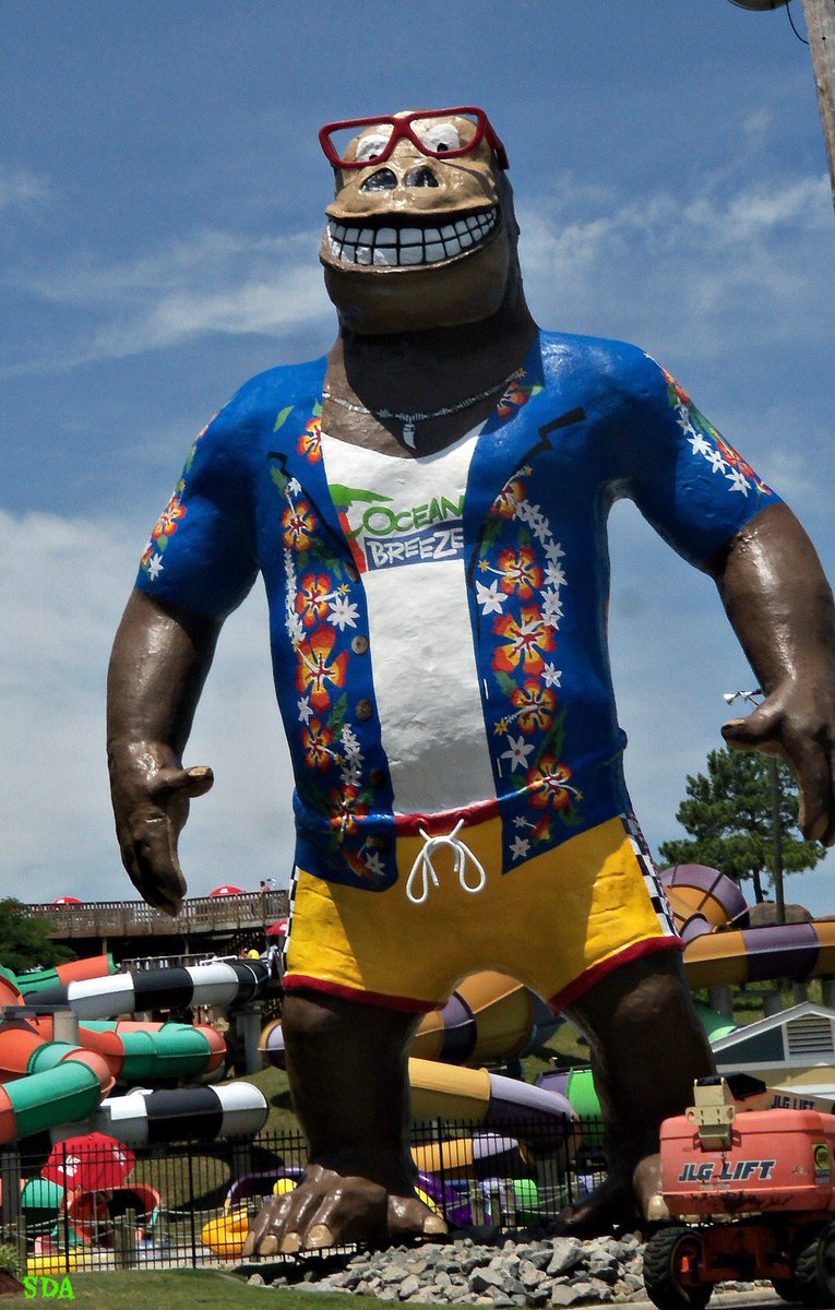 757_Tweets's tweet image. Harambe memorial statue in VA Beach😍 #RIP