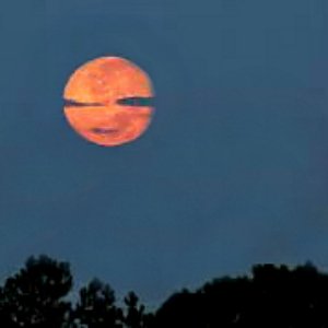 FallNewEngland's tweet image. Find local Perseid meteor shower parties &amp;amp; night hikes on our Guide to Moonlight Events! bit.ly/2b3NQR4