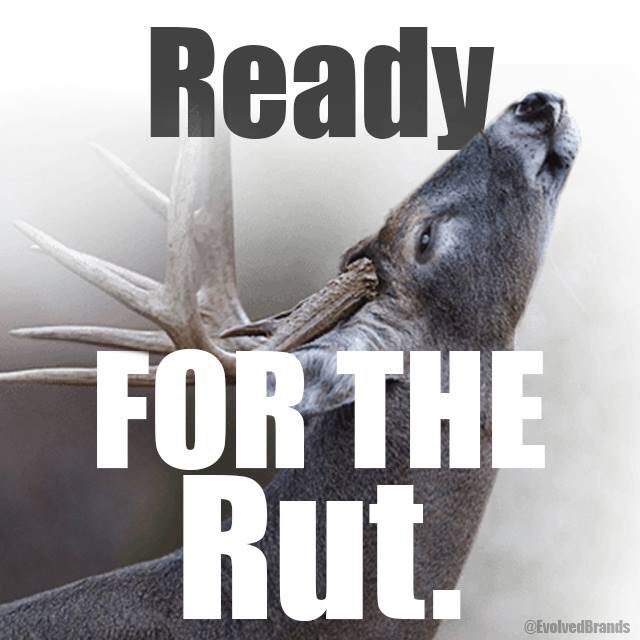 BowHuntinDude's tweet photo. RT if your ready for the rut! https://t.co/dnfQZIaBJf