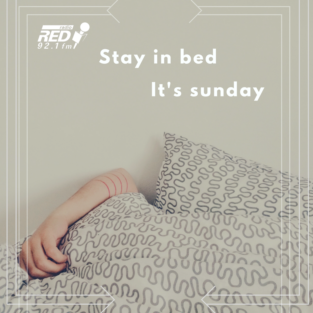 laoctavadigital's tweet photo. Los domingos son para permanecer todo el día en cama. 😁 ¿Ustedes que opinan? 😜

¡Feliz domingo de descanso! 😌 https://t.co/U3LeVEfSjm