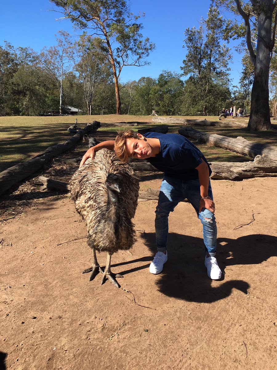 MarceloMM1819's tweet photo. Austrália!!! https://t.co/5E9QIIUdDl
