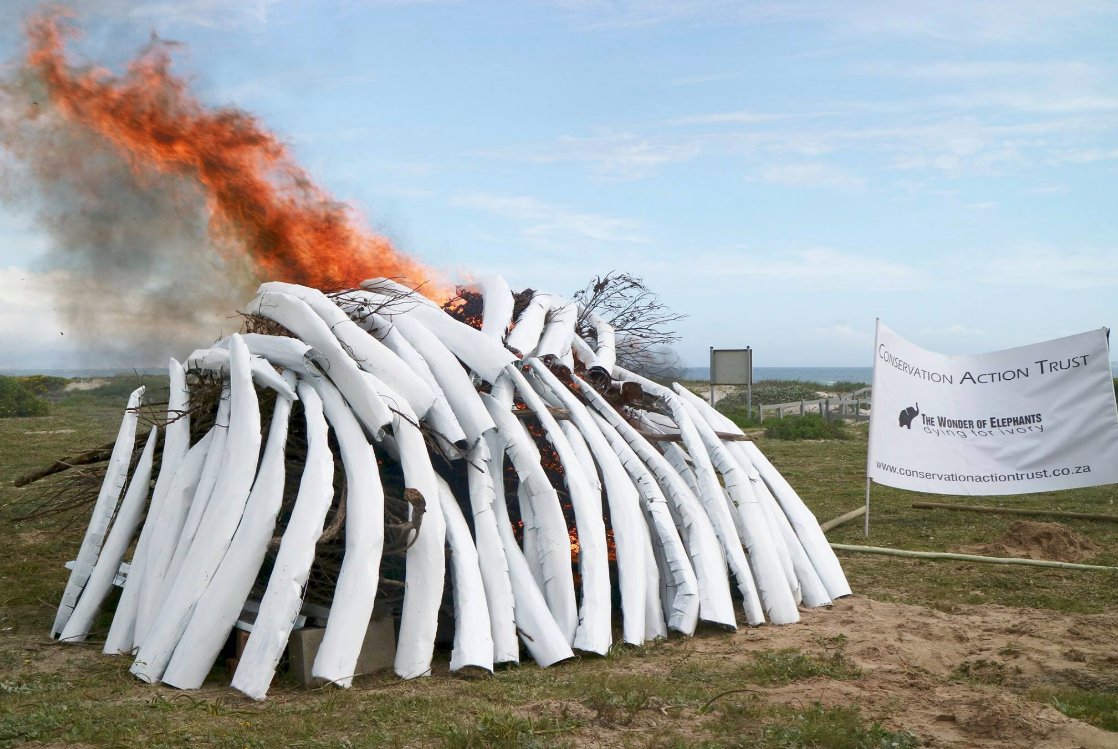 afdekfolie papier karwei verhuisdoos action karwei with verhuisdoos action afdekfolie papier karwei verhuisdoos action karwei with verhuisdoos action