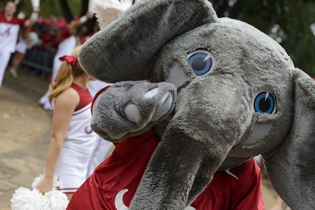 UofAlabama's tweet photo. On #WorldElephantDay, we'd like to give a shout-out to our very favorite - @official_big_al! #RollTide https://t.co/hCKYaULVgv