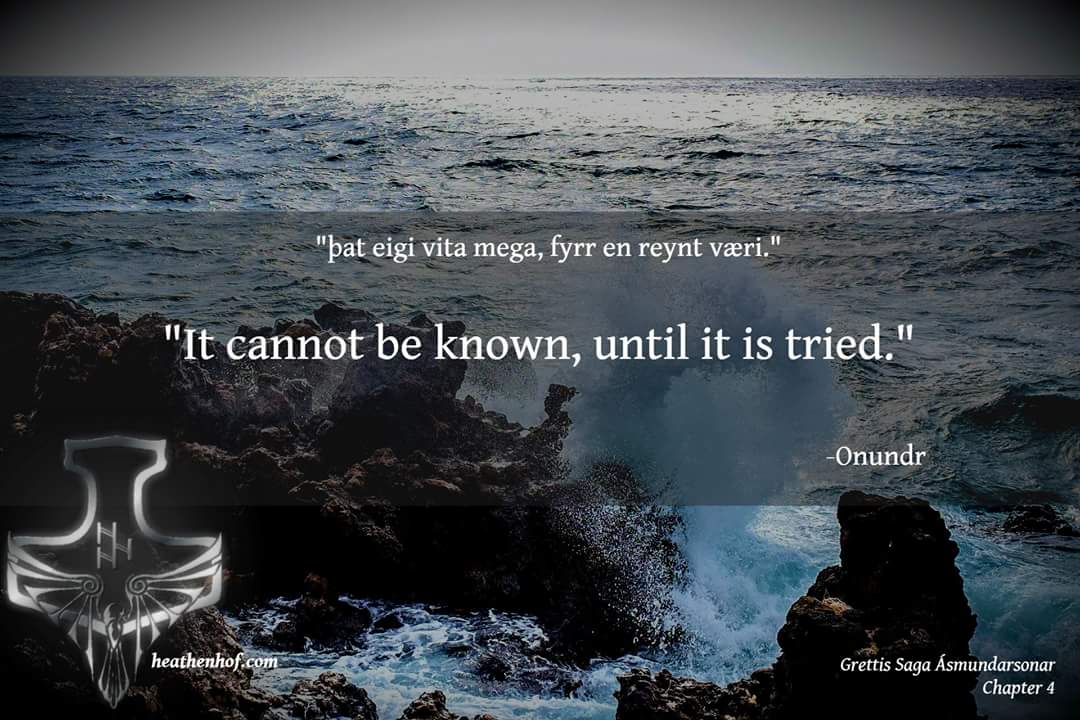No reward comes without risk, no discovery without exploration, and no knowledge without experience
#Asatru  #Pagan