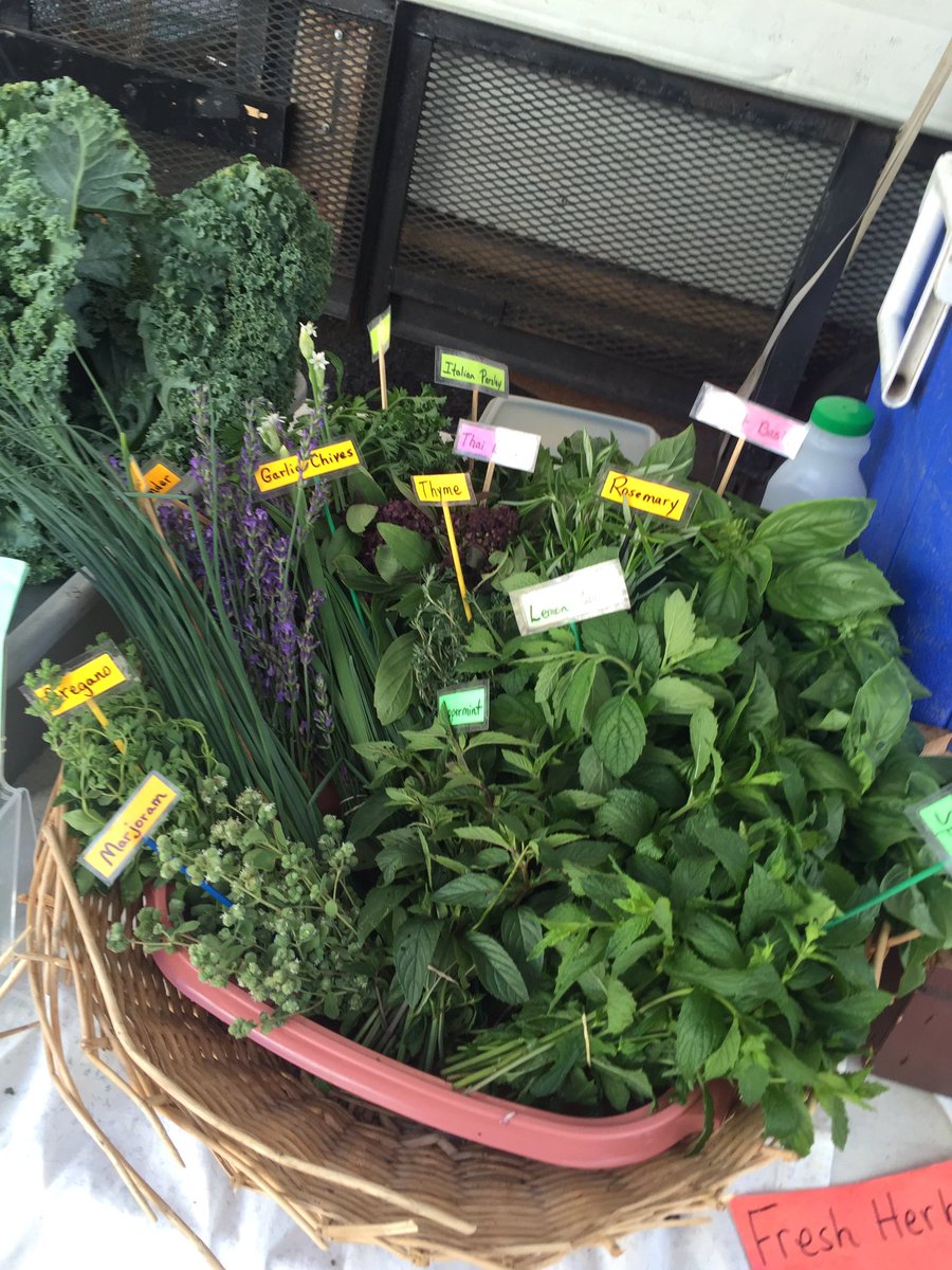 LocustLnMarket's tweet photo. Some great produce at today's market! Stop by next Friday to experience some local delights #local #PSUsummer #WeAre https://t.co/saKhSAptsY