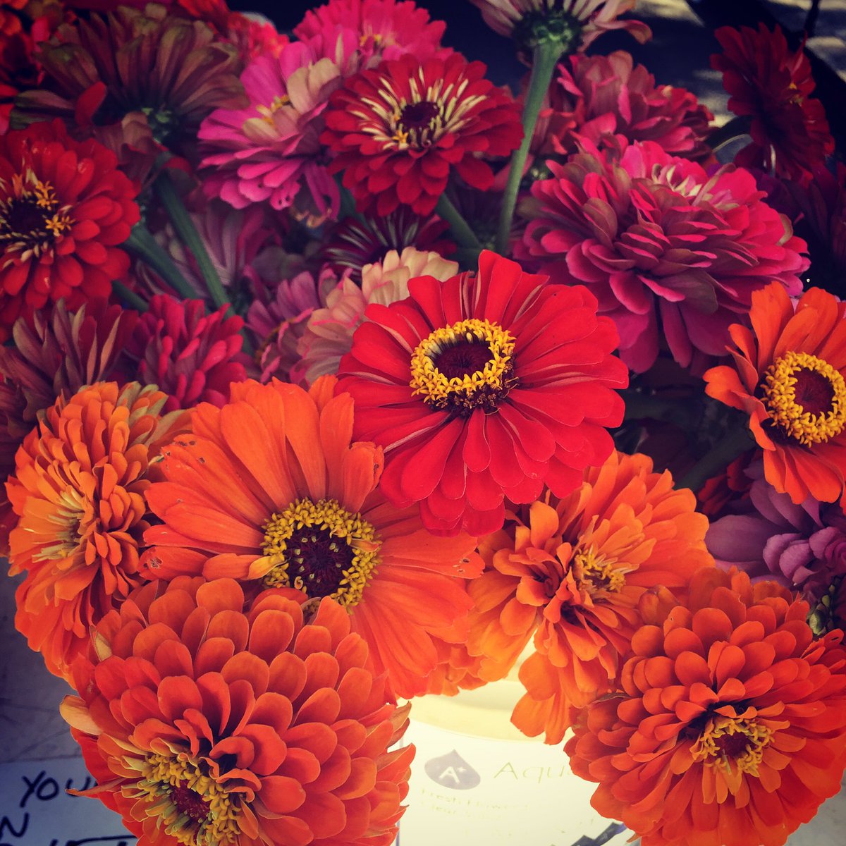 LocustLnMarket's tweet photo. Some great produce at today's market! Stop by next Friday to experience some local delights #local #PSUsummer #WeAre https://t.co/saKhSAptsY
