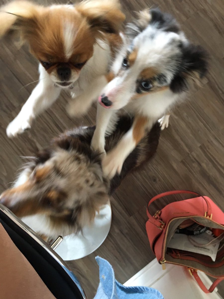 swagnuggetsora's tweet photo. sora and friends https://t.co/fa9Yu35LtT