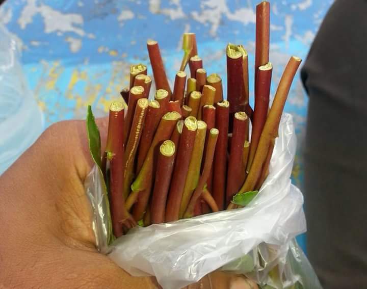 هايل الصعفاني (@asatan46) on Twitter photo 