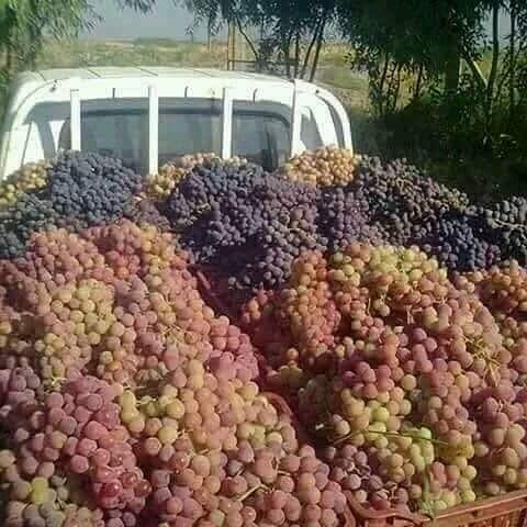 هايل الصعفاني (@asatan46) on Twitter photo 