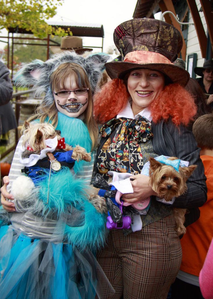 GoWhidbeyCamano's tweet image. Build your costume now for the Bayview Mutt Strut on #Whidbey.  What’s a Mutt Strut?  buff.ly/2b4A7v8