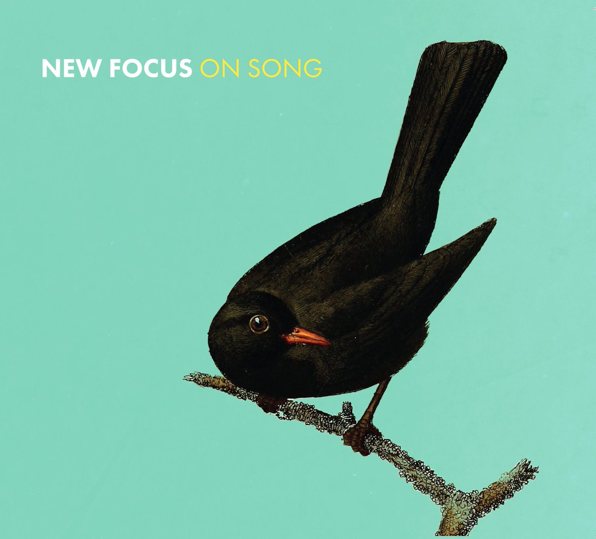 'New Focus on Song' by <a href="/konwiz/">Konwiz</a> and <a href="/euaninfo/">Euan Stevenson</a> to be released 19th August. Read more: wwr.dj/2674kPd