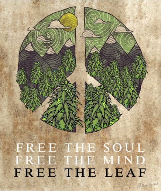 GValleyWellness's tweet photo. #TGIF Appreciating your RT's and #TwitterLove @fanie_pienaar @KinngMe @TheLoudBank #cultivatewellness #OMMP https://t.co/A0GfuCIRrw