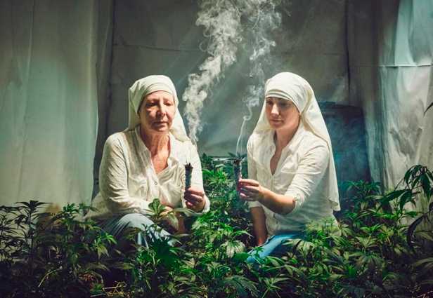 ¿Ya conoces a las monjas que cultivan #marihuana ? goo.gl/wldfGH