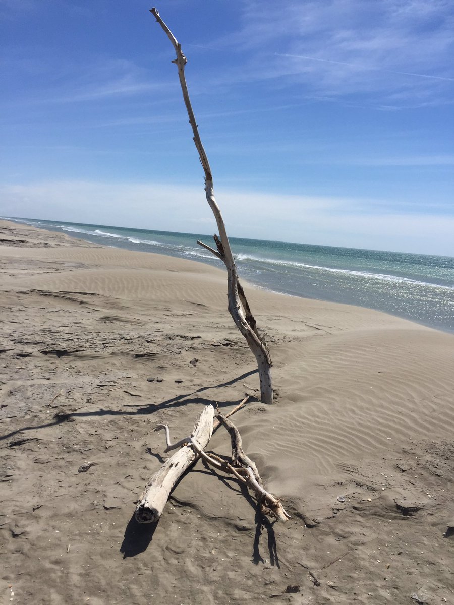 PerLilliefelth's tweet photo. All alone on a deserted island.... Sort of. https://t.co/PYryP3TWi0
