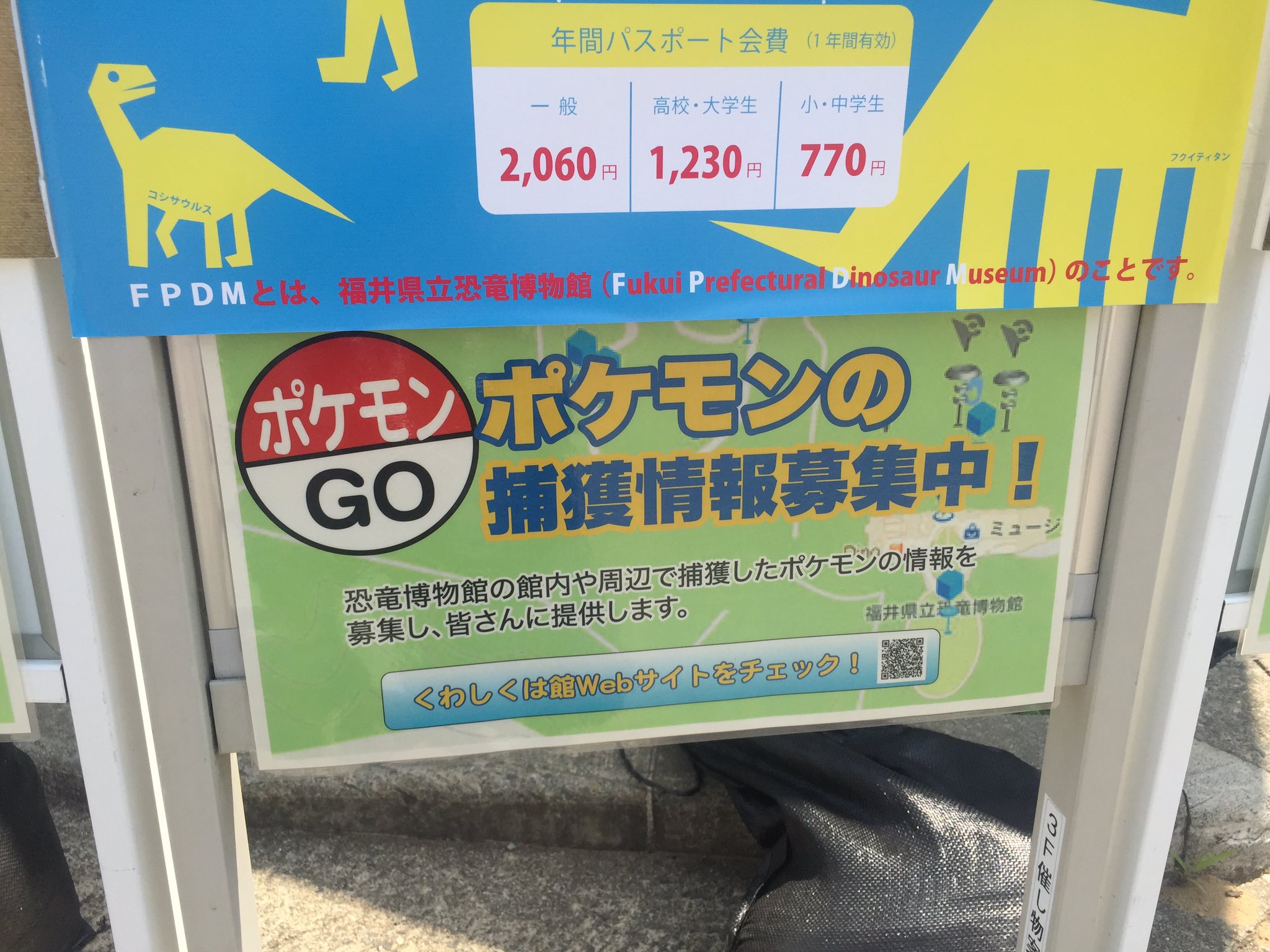 O Xrhsths Ht ポケモンgo Sto Twitter 福井県立恐竜博物館 ポケモンgoを全面バックアップ ロコンとか出てましたね 博物館自体もとてもよかったです ただ夏休み期間中でめちゃくちゃ人は多かった 恐竜博物館周辺のポケモン O Xrhsths Ht ポケモンgo Sto Twitter 福井県立恐竜博物館 ポケモンgoを全面バックアップ ロコンとか出てましたね 博物館自体もとてもよかったです ただ夏休み期間中でめちゃくちゃ人は多かった 恐竜博物館周辺のポケモン