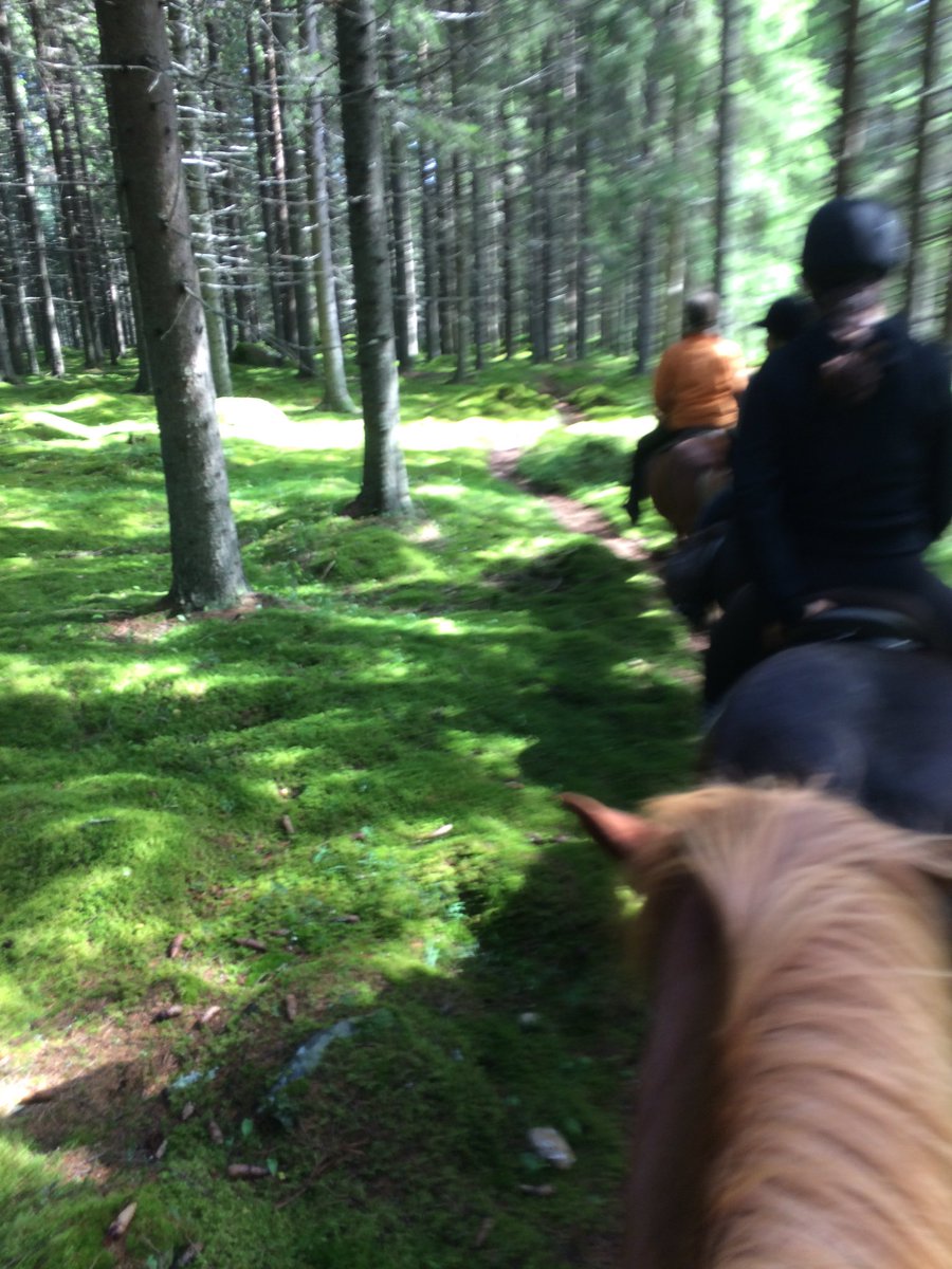 SWTCFinland's tweet image. Mira 💜 @TamySweetC