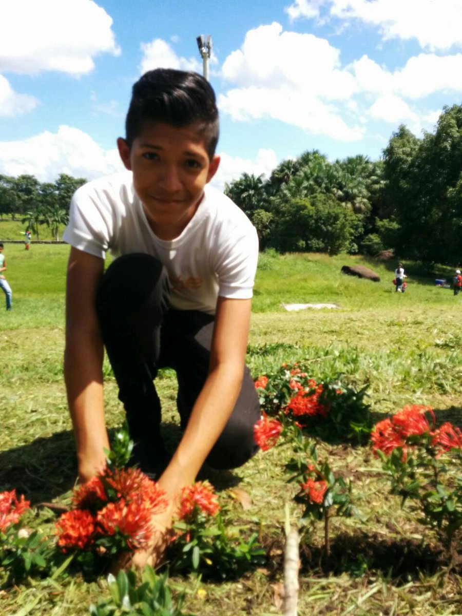 AVSOriental's tweet photo. ¡Siembra de arboles! Parque La Llovizna Puerto Ordaz. #CercaDeTi2016 https://t.co/h0WfdTsbPd