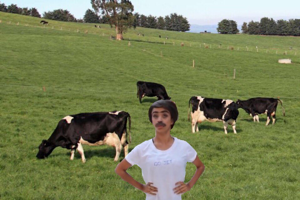jetthe3's tweet photo. I confused this isn't a goat farm https://t.co/5NiIKcaObI