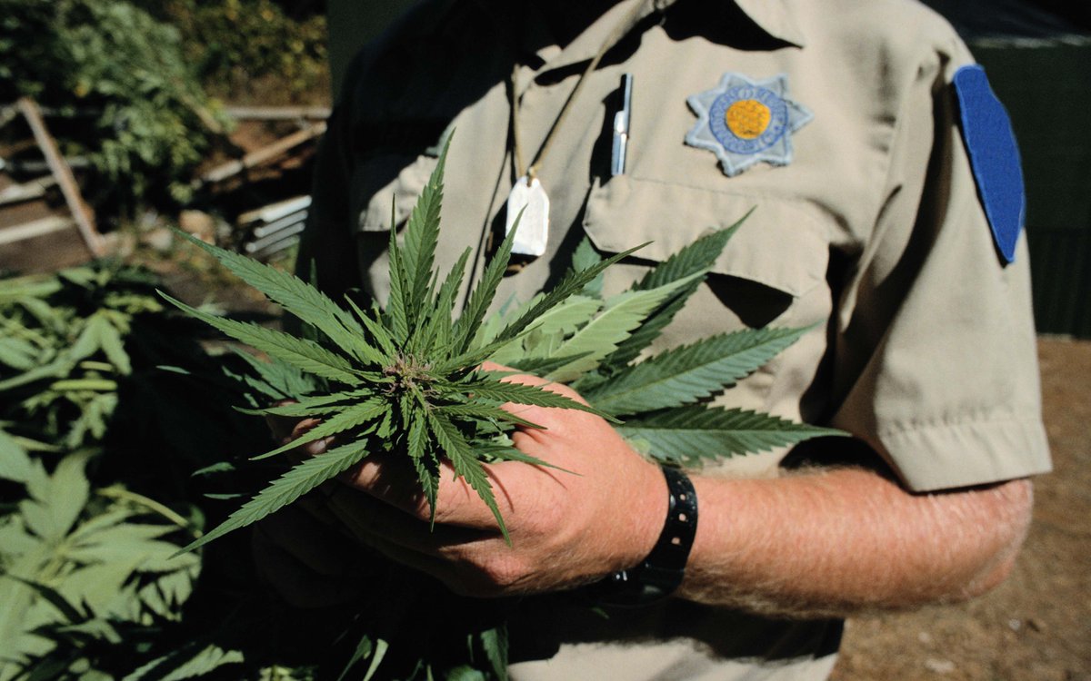 HIGH_TIMES_Mag's tweet photo. Pot Matters: Inside the DEA’s Latest Refusal to Reschedule Marijuana, Pt. 1.
https://t.co/TUJHyxnrEx https://t.co/vSvTuhAwmr
