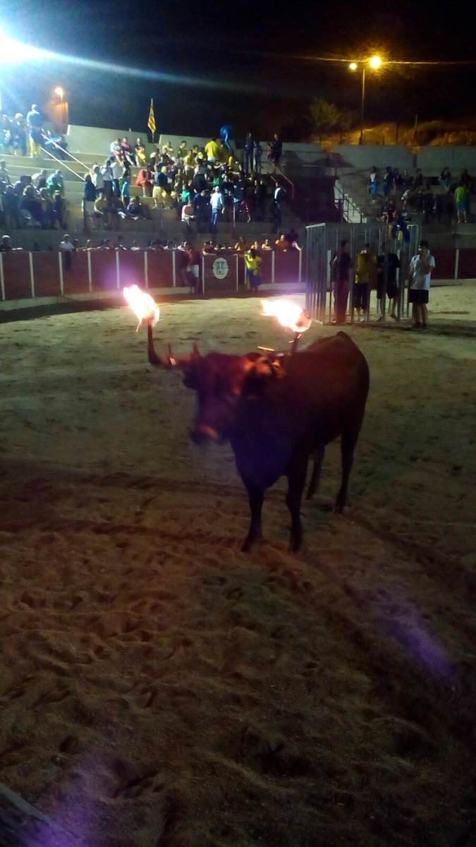 igrtoros tweet picture