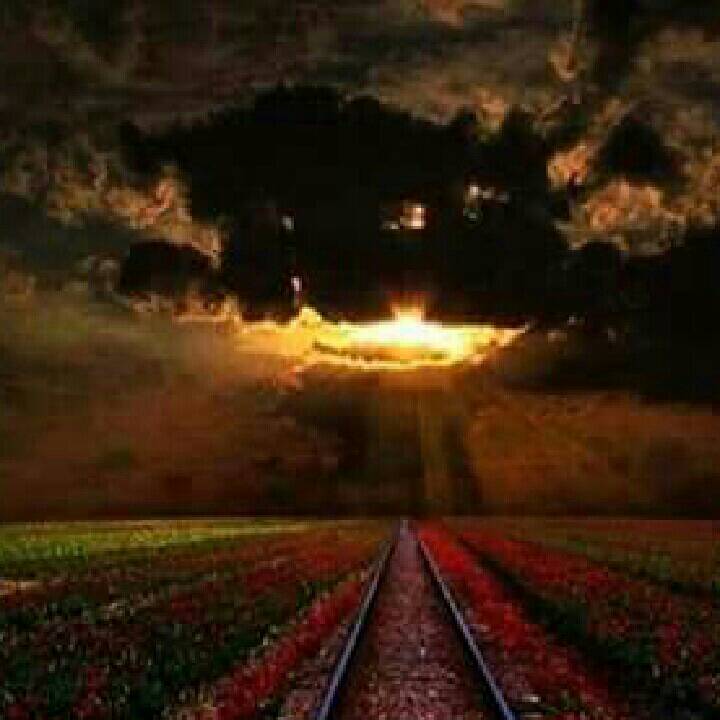 SamFour20's tweet photo. #Liveme #Baked ~BeardedStoner's @TBFinney 
https://t.co/uwYRyEs9Qr https://t.co/e6rmpsfQHw