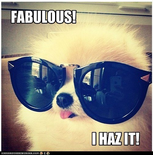 WhiteRockOptom's tweet photo. Have a fabulous sunny #weekend! Remember to wear your #sunglasses. #animalsinglasses #fridayfun https://t.co/Ot2FwLG7y5