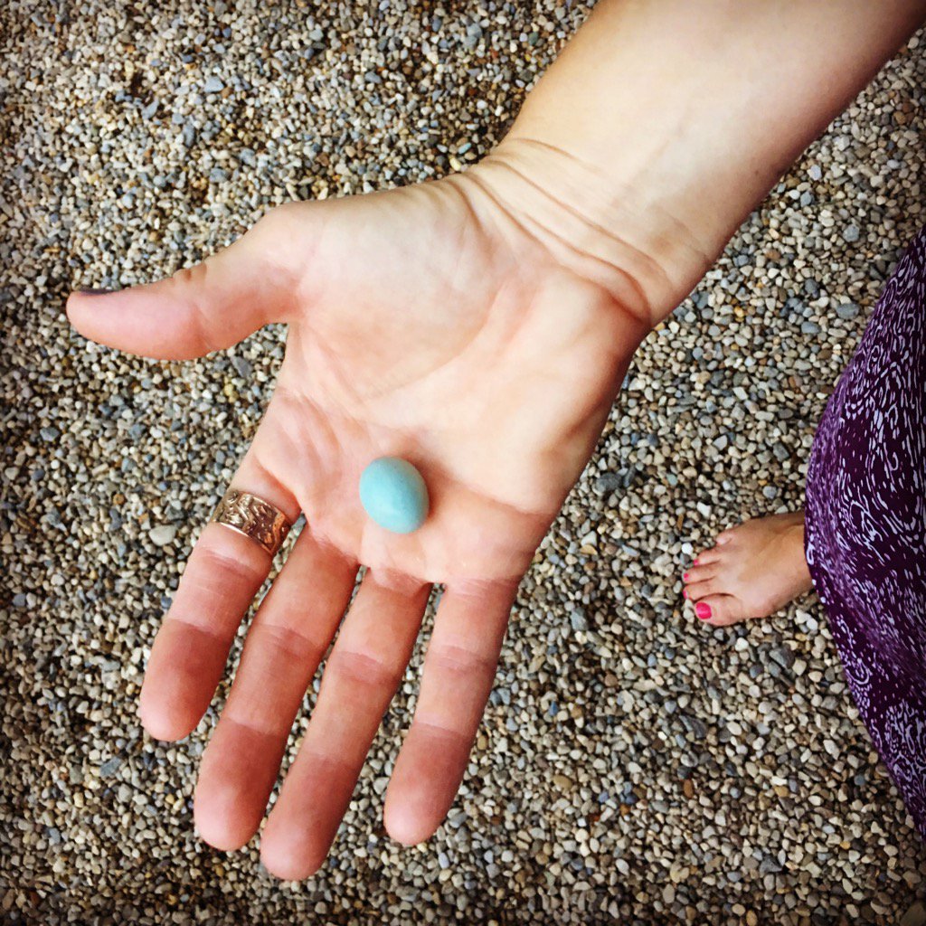 overtherhine's tweet photo. 26 fledglings. 1 left. Abandoned bluebird egg. There's a bluebird in my heart #metaphor #Bukowski #loev #nowherefarm https://t.co/YLNakiAJuj