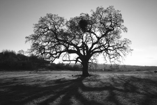 Sunilgurjarr's tweet photo. #landscapes https://t.co/4HIDYCSib9