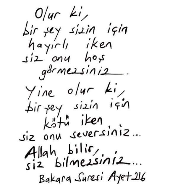 baha altınkaya (@bahaaltnkaya) on Twitter photo 