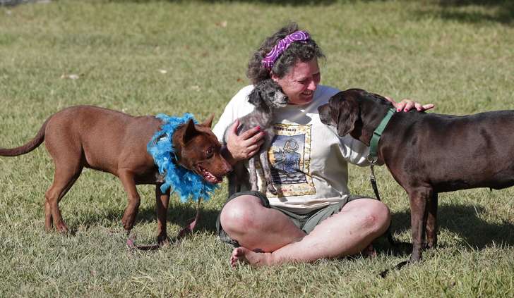 Old dogs find new life and a warm bed at Lizzy’s Animal Hospice atxne.ws/2aIX7C7