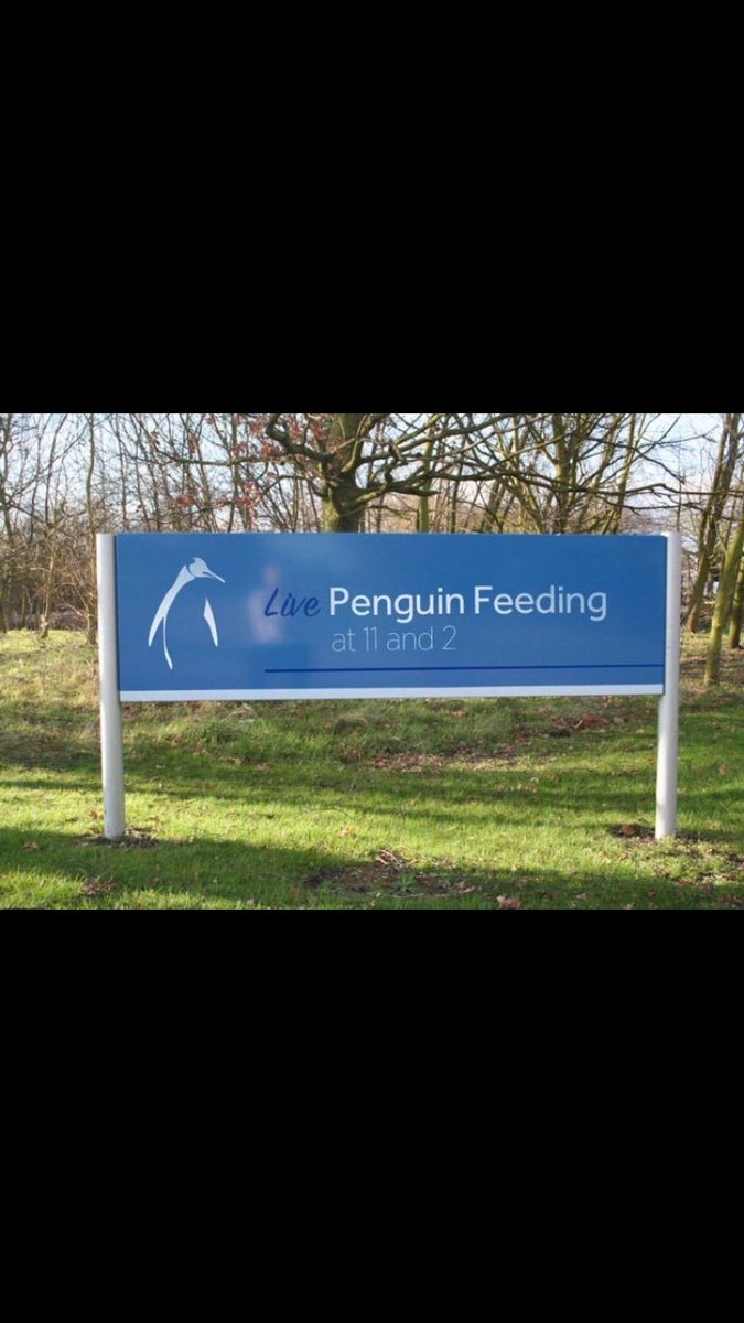 Roses are red
Violets are blue