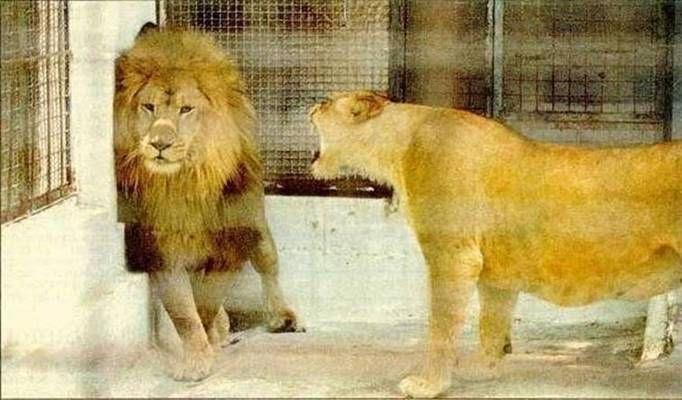 Sunilgurjarr's tweet photo. A Wife is a Wife, 
no matter who 
THE HELL 
you are!! 

| 
|
|
| 
| 
| 
| 
| 
|
|
|
| 
|
| 
|
| 
| 
| https://t.co/5yD2VQLWgD